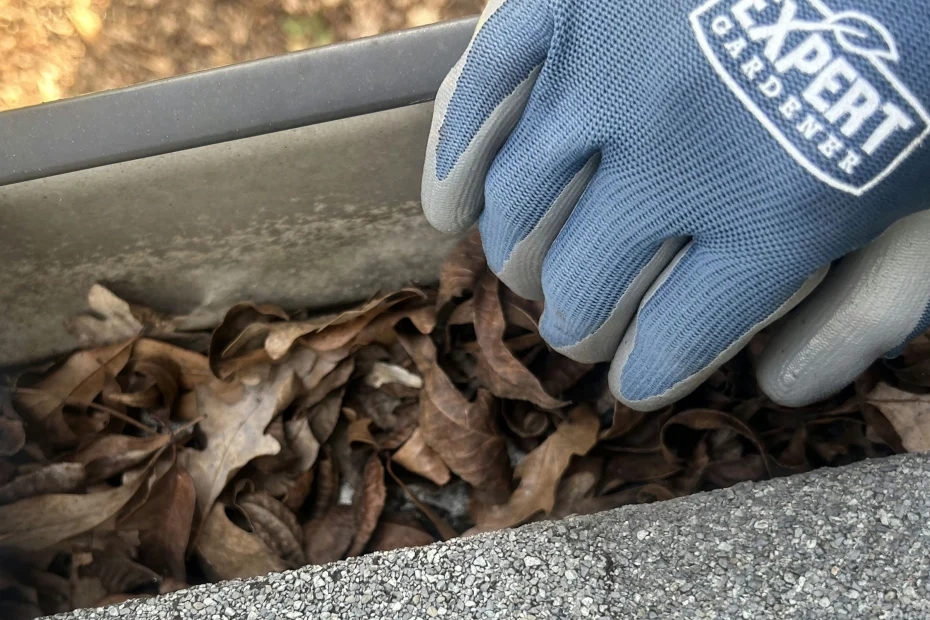 Gutter Cleaning Kirkwood, MO