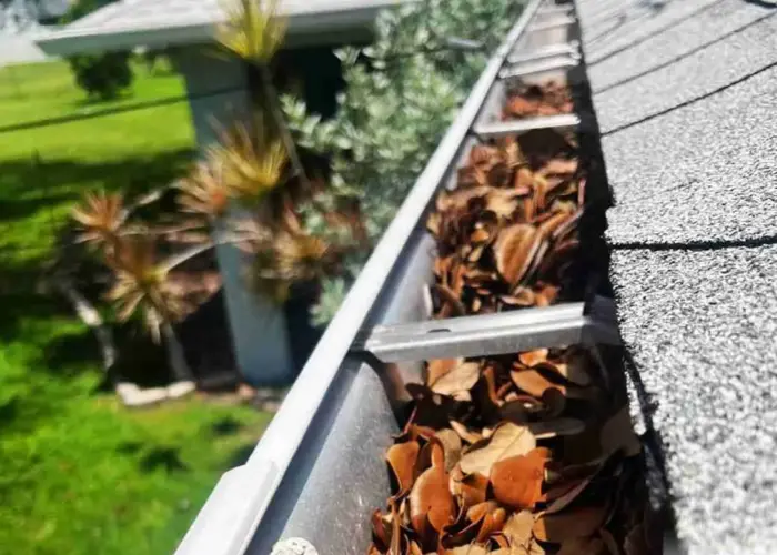 Gutter Cleaning Kirkwood, MO home page